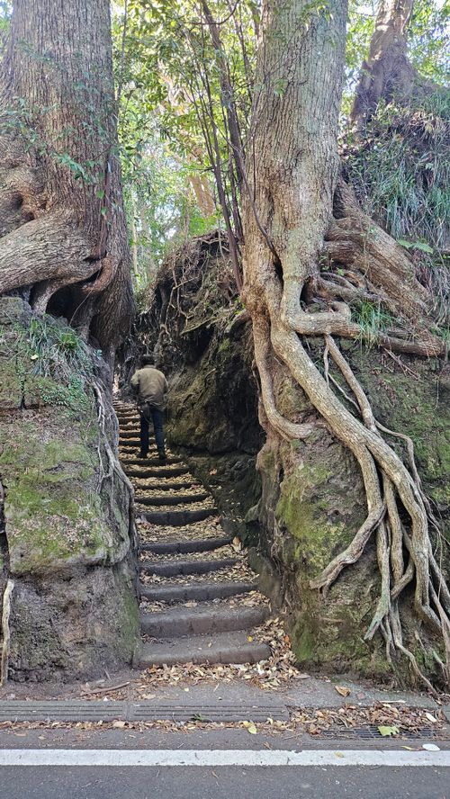 CAMPiii（キャンピー） IZUIZUさんのキャンプブログ その後 日本