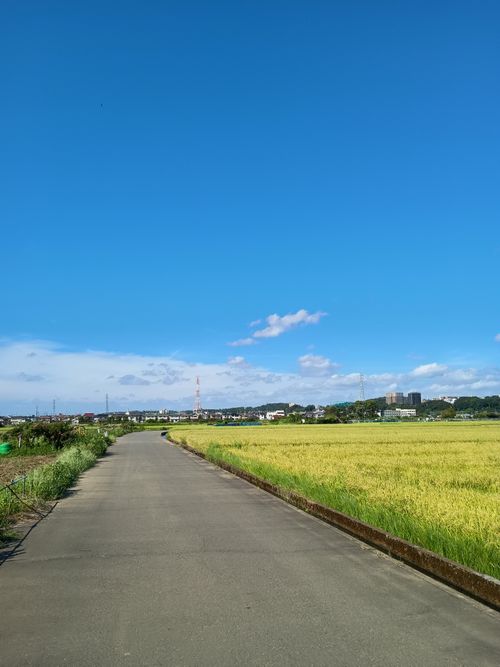相模川付近の野営地下見Ride ウエィダーさんのキャンプブログ CAMPiii（キャンピー） -キャンプ専用SNS キャンプのすべてがここに集まる-