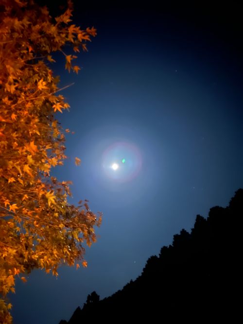 組合キャンプレク ソロキャンプ フリーサイト KABUTOさんのキャンプブログ CAMPiii（キャンピー） -キャンプ専用SNS キャンプのすべてがここに集まる-