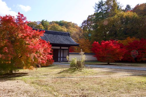 秋の彩りに癒されたキャンプ 天竺キャンプ場 ソロキャンプ フリーサイト yoshiさんのキャンプブログ CAMPiii（キャンピー） -キャンプ専用SNS キャンプのすべてがここに集まる-