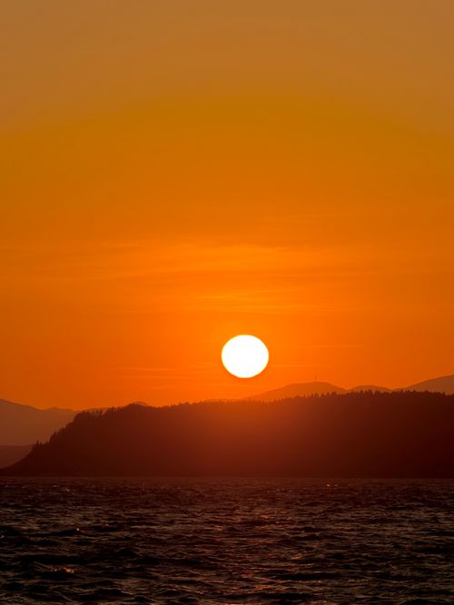 白鳥と夕陽とマジックアワー 小川原湖畔キャンプ場 ソロキャンプ 区画サイト sea-bさんのキャンプブログ CAMPiii（キャンピー） -キャンプ専用SNS キャンプのすべてがここに集まる-