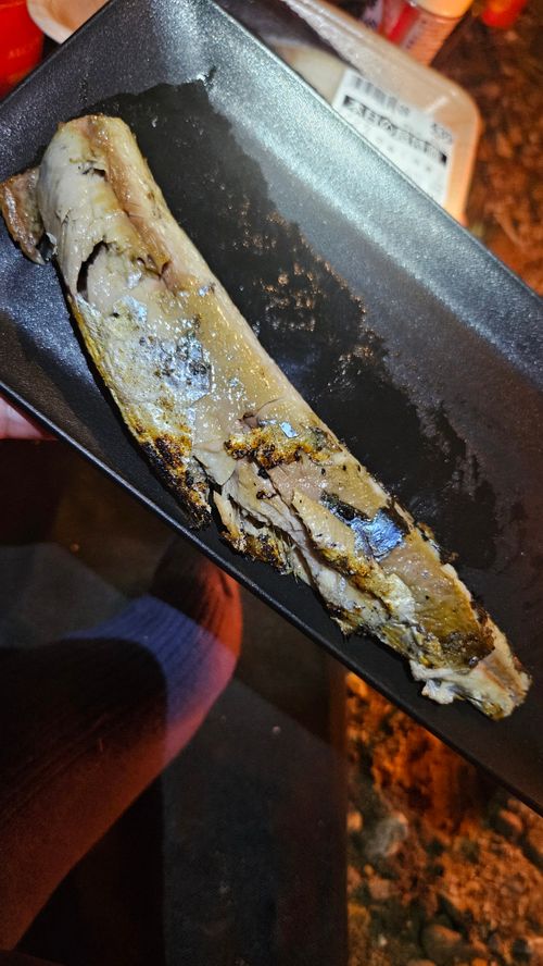 その後 日本 ソロキャンプ グループキャンプ 区画サイト フリーサイト オートサイト IZUIZUさんのキャンプブログ CAMPiii（キャンピー） -キャンプ専用SNS キャンプのすべてがここに集まる-