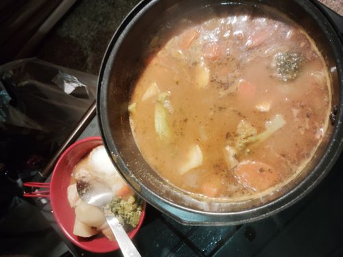 初親子キャンプ 朝霧Camp Base そらいろキャンプ場（フリーサイト・区画サイト・電源区画サイト） ファミリーキャンプ フリーサイト しずさんのキャンプブログ CAMPiii（キャンピー） -キャンプ専用SNS キャンプのすべてがここに集まる-