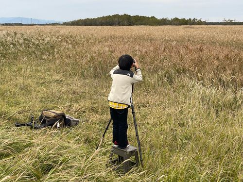 撮り鉄のデイキャンプ🏕️ 安平町ときわキャンプ場 ファミリーキャンプ 区画サイト Train Photographer TAKAさんのキャンプブログ CAMPiii（キャンピー） -キャンプ専用SNS キャンプのすべてがここに集まる-
