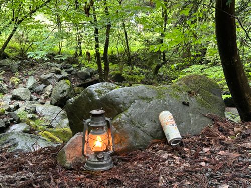 新緑キャンプ🏕 椿荘オートキャンプ場 ソロキャンプ 区画サイト Genさんのキャンプブログ CAMPiii（キャンピー） -キャンプ専用SNS キャンプのすべてがここに集まる-