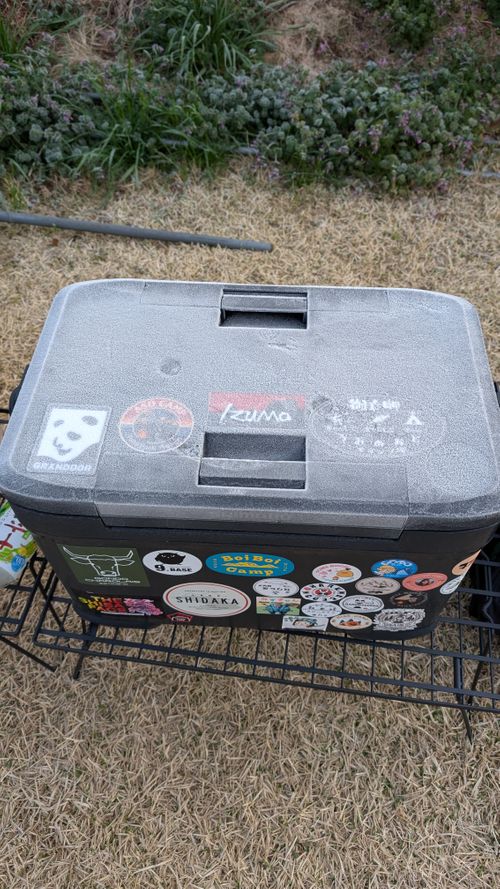 ひな祭り(だったね)🎎WBC応援キャンプ⚾️ たまなフラワーパーク ソロキャンプ ファミリーキャンプ グループキャンプ 区画サイト ヒゲキャンさんのキャンプブログ CAMPiii（キャンピー） -キャンプ専用SNS キャンプのすべてがここに集まる-