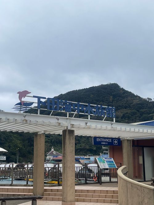 ハッピーバースデー🎊キャンプin夕日丘キャンプ 南伊豆夕日ヶ丘キャンプ場 ファミリーキャンプ 区画サイト マイティさんのキャンプブログ CAMPiii（キャンピー） -キャンプ専用SNS キャンプのすべてがここに集まる-
