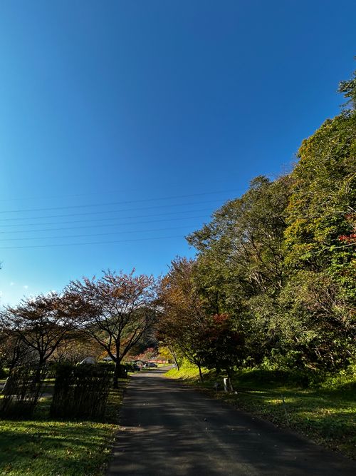 紅葉の便りに誘われて岩手遠征してみた 道の駅 雫石あねっこ ソロキャンプ 区画サイト 病弱なボッチキャンパーさんのキャンプブログ CAMPiii（キャンピー） -キャンプ専用SNS キャンプのすべてがここに集まる-