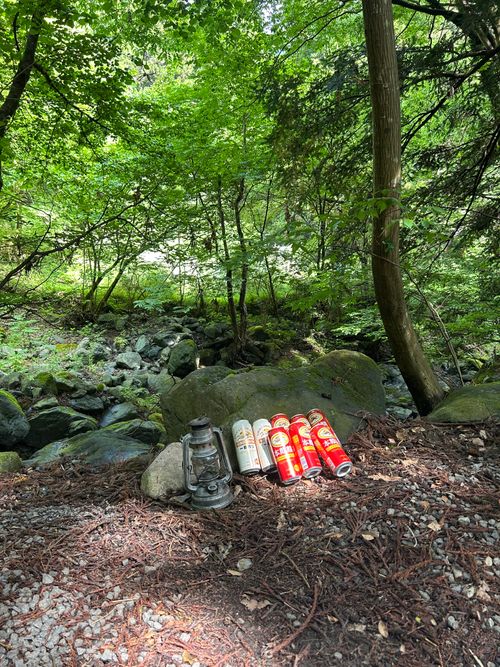 新緑キャンプ🏕 椿荘オートキャンプ場 ソロキャンプ 区画サイト Genさんのキャンプブログ CAMPiii（キャンピー） -キャンプ専用SNS キャンプのすべてがここに集まる-