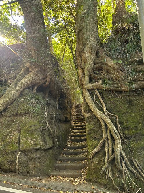 バックパックに憧れて、ついに決行 トウシキキャンプ場(野営場)無料 ソロキャンプ グループキャンプ フリーサイト Genさんのキャンプブログ CAMPiii（キャンピー） -キャンプ専用SNS キャンプのすべてがここに集まる-