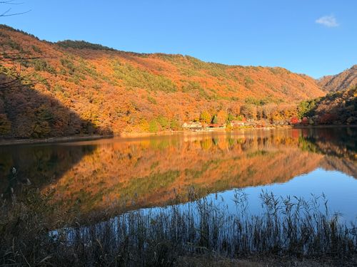 毎年行きたいキャンプ場 四尾連湖 水明荘キャンプ場 ソロキャンプ 区画サイト フリーサイト Ryo-hateさんのキャンプブログ CAMPiii（キャンピー） -キャンプ専用SNS キャンプのすべてがここに集まる-