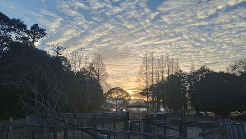 あけましておめでとうごニャイます！🐱（byまきお） ラピュタファームキャンプ場 グループキャンプ フリーサイト スローライフに憧れるさんのキャンプブログ CAMPiii（キャンピー） -キャンプ専用SNS キャンプのすべてがここに集まる-