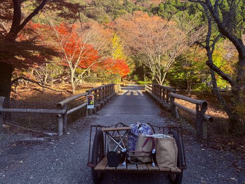 ①季節外れのUNAGI とDONABEで米を炊く🌾 ②ボージョレ・ヌーボー解禁日🍷にキャンプ🏕️ ③4年前と同じ場所で紅葉狩り🍁 大久保キャンプ場 ソロキャンプ 区画サイト waccy0441さんのキャンプブログ CAMPiii（キャンピー） -キャンプ専用SNS キャンプのすべてがここに集まる-