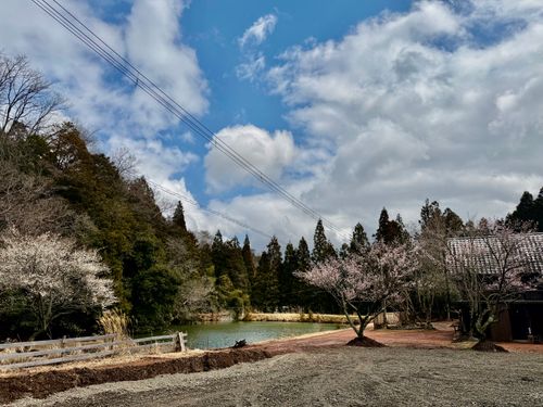 花粉症炸裂キャンプ🤧🏕 TASTE HOUSE ZEN ファミリーキャンプ フリーサイト ぐうたら夫婦さんのキャンプブログ CAMPiii（キャンピー） -キャンプ専用SNS キャンプのすべてがここに集まる-