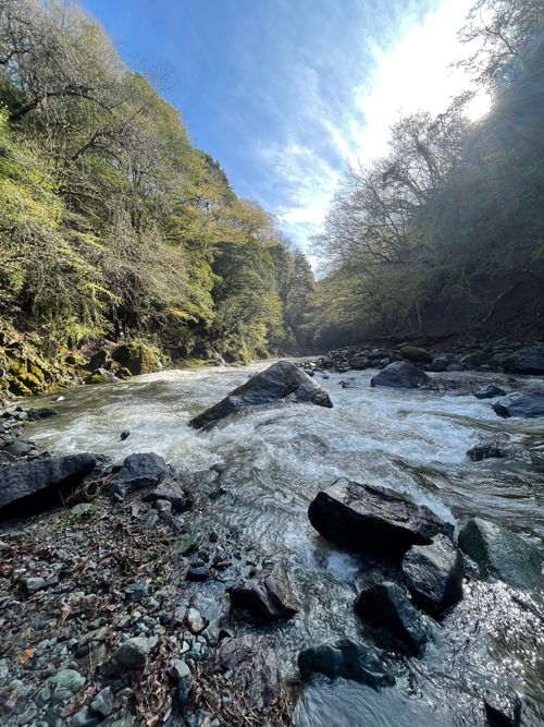 同僚とデュオキャンプ！道志村にある久保キャンプ場へ！ 道志村 久保キャンプ場 ソロキャンプ グループキャンプ 区画サイト ma9さんのキャンプブログ CAMPiii（キャンピー） -キャンプ専用SNS キャンプのすべてがここに集まる-