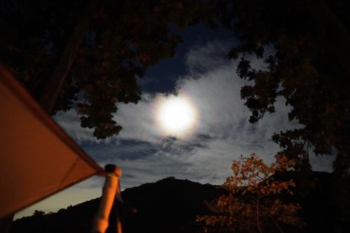 近場開拓ソロキャンツー 秋山川キャンプ場 ソロキャンプ 区画サイト 週末スナフキンさんのキャンプブログ CAMPiii（キャンピー） -キャンプ専用SNS キャンプのすべてがここに集まる-