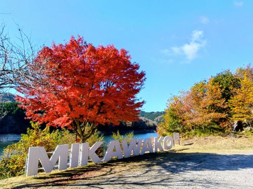 RALLY JAPAN 2025 三河湖SS を辿るキャンプ 三河湖やまびこキャンプ場 ソロキャンプ 区画サイト ｷｬﾑﾗｰ@RMS099さんのキャンプブログ CAMPiii（キャンピー） -キャンプ専用SNS キャンプのすべてがここに集まる-