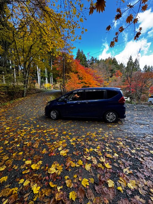 紅葉の山伏グルキャン 山伏オートキャンプ場 グループキャンプ 区画サイト atelierさんのキャンプブログ CAMPiii（キャンピー） -キャンプ専用SNS キャンプのすべてがここに集まる-