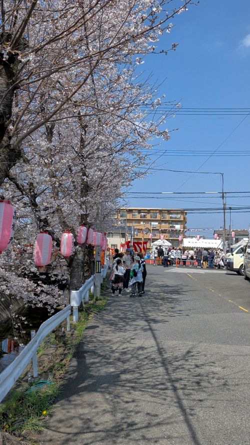 田代 中津川河川敷 ソロキャンプ フリーサイト オートサイト IZUIZUさんのキャンプブログ CAMPiii（キャンピー） -キャンプ専用SNS キャンプのすべてがここに集まる-