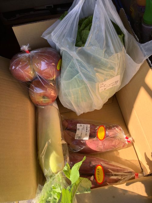 Vol.107 25/NO.26　何となく中津峡に行く‼️ 中津峡 ソロキャンプ 🔥焚き火🔥さんのキャンプブログ CAMPiii（キャンピー） -キャンプ専用SNS キャンプのすべてがここに集まる-