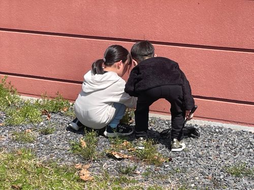 久しぶりのキャンプ🏕️ ファミリーキャンプ フリーサイト Shinさんのキャンプブログ CAMPiii（キャンピー） -キャンプ専用SNS キャンプのすべてがここに集まる-