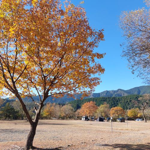CAMPiii(キャンピー) こば さんのキャンプブログ もう冬だね〜 くのわき親水公園キャンプ場