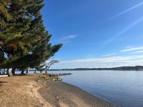 100投稿目はソロにて候😆🎉 親沢公園キャンプ場 ソロキャンプ フリーサイト まっつんさんのキャンプブログ CAMPiii（キャンピー） -キャンプ専用SNS キャンプのすべてがここに集まる-