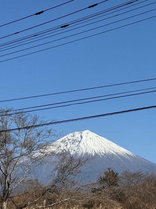 久しぶりの穏やかなキャンプ Foresters Village Kobitto あさぎりキャンプフィールド ソロキャンプ オートサイト 区画サイト ちはみなさんのキャンプブログ CAMPiii（キャンピー） -キャンプ専用SNS キャンプのすべてがここに集まる-