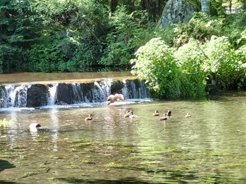 あの有名な無料キャンプ場の近くで、2025年4月から新体制でリスタートしたこの夏注目のお値打ちキャンプ場で避暑キャン2泊目ソロデュオ 木曽駒オートキャンプ場 ソロキャンプ グループキャンプ 区画サイト オートサイト たかたかぽんたさんのキャンプブログ CAMPiii(キャンピー) -キャンプ専用SNS キャンプのすべてがここに集まる-
