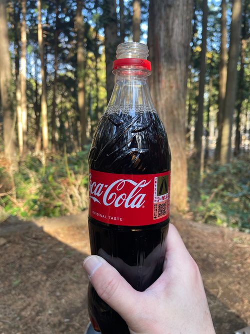 徒歩ソロで行く、いこいの森 RECAMP おだわら 小田原市いこいの森 RECAMP おだわら ソロキャンプ 区画サイト ma9さんのキャンプブログ CAMPiii（キャンピー） -キャンプ専用SNS キャンプのすべてがここに集まる-