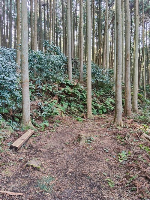 大阪の村 campsite麓 ソロキャンプ フリーサイト おっとまんSさんのキャンプブログ CAMPiii（キャンピー） -キャンプ専用SNS キャンプのすべてがここに集まる-