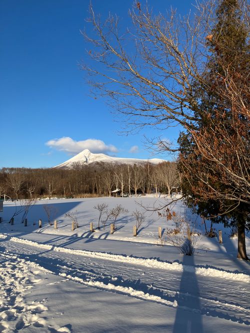 2026初キャンプはファンガーデンリモ！ Fun Garden Rimo ソロキャンプ フリーサイト siroさんのキャンプブログ CAMPiii（キャンピー） -キャンプ専用SNS キャンプのすべてがここに集まる-