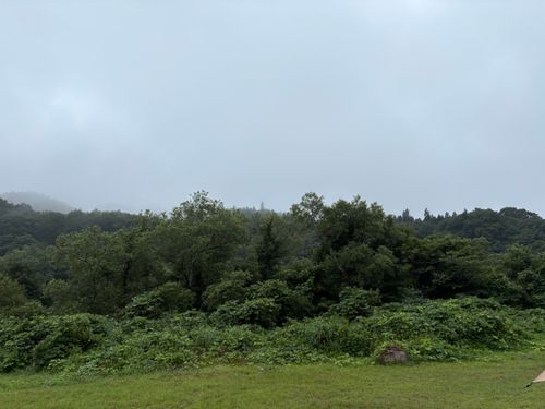 僕の夏休みー2025.8.14〜8.16ー キャンプグランド・ベアーベル ソロキャンプ フリーサイト ぱぱちょさんのキャンプブログ CAMPiii(キャンピー) -キャンプ専用SNS キャンプのすべてがここに集まる-