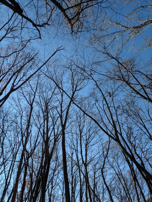 ２週連続でアカイケ キャンプ アカイケ ソロキャンプ フリーサイト アニさんのキャンプブログ CAMPiii（キャンピー） -キャンプ専用SNS キャンプのすべてがここに集まる-