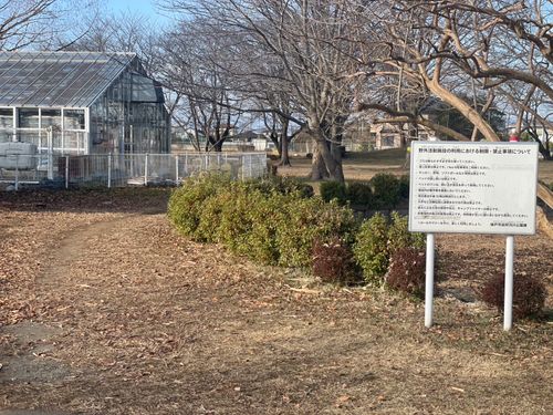 Vol.111 26/NO.01 新年1発目はココで‼️ 坂戸市 ソロキャンプ フリーサイト 🔥焚き火🔥さんのキャンプブログ CAMPiii（キャンピー） -キャンプ専用SNS キャンプのすべてがここに集まる-