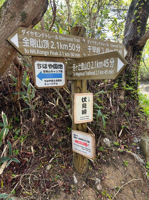 登山デビュー(テント泊付き) 金剛山 ソロキャンプ 区画サイト △kuuga△さんのキャンプブログ CAMPiii（キャンピー） -キャンプ専用SNS キャンプのすべてがここに集まる-