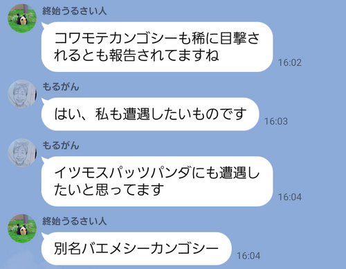 キャンプ行けない時の励みになったので共有 日本 IZUIZUさんのキャンプブログ CAMPiii（キャンピー） -キャンプ専用SNS キャンプのすべてがここに集まる-