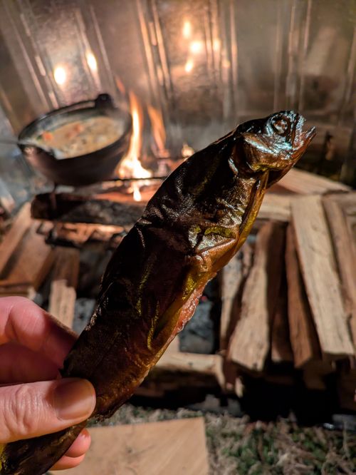 【粕汁✕ハツ串✕クラフトビール】千葉の楽々ガーデン ソロキャンプ フリーサイト MOTO△CAMPさんのキャンプブログ CAMPiii（キャンピー） -キャンプ専用SNS キャンプのすべてがここに集まる-