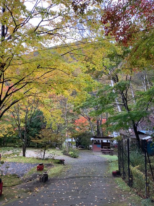 Vol.105 25/NO.24 笛吹小屋キャンプ場〜中津峡〜〆ホルモン屋‼️ 笛吹小屋キャンプ場 ソロキャンプ 区画サイト 🔥焚き火🔥さんのキャンプブログ CAMPiii(キャンピー) -キャンプ専用SNS キャンプのすべてがここに集まる-