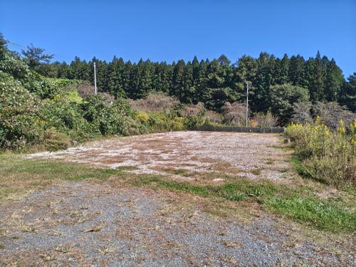 社畜、キャンプ行ったってよ camp circle きずな ソロキャンプ フリーサイト オートサイト けい＠福島県さんのキャンプブログ CAMPiii（キャンピー） -キャンプ専用SNS キャンプのすべてがここに集まる-