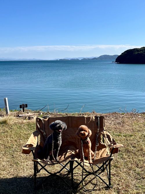 2025.11.10〜11 西海橋オートキャンプ場 akemi.09.02さんのキャンプブログ CAMPiii（キャンピー） -キャンプ専用SNS キャンプのすべてがここに集まる-