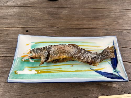 満身創痍のつづき🥹 上高地森のリゾート小梨 ソロキャンプ グループキャンプ フリーサイト Genさんのキャンプブログ CAMPiii（キャンピー） -キャンプ専用SNS キャンプのすべてがここに集まる-