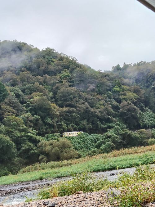 失敗ばかりでもええんよ 山八キャンプ場 ソロキャンプ フリーサイト おっとまんSさんのキャンプブログ CAMPiii（キャンピー） -キャンプ専用SNS キャンプのすべてがここに集まる-