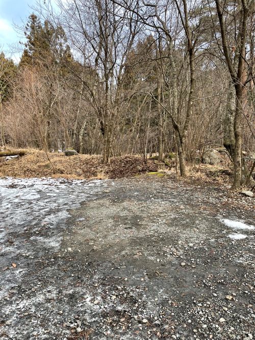 2026キャンプ部初め 道志の森キャンプ場 グループキャンプ フリーサイト もるがんさんのキャンプブログ CAMPiii（キャンピー） -キャンプ専用SNS キャンプのすべてがここに集まる-