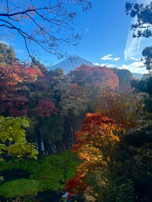 今月2回目⛺️今回も天気に恵まれて最高 ふもとっぱらキャンプ場 ソロキャンプ フリーサイト OYAKATAさんのキャンプブログ CAMPiii（キャンピー） -キャンプ専用SNS キャンプのすべてがここに集まる-