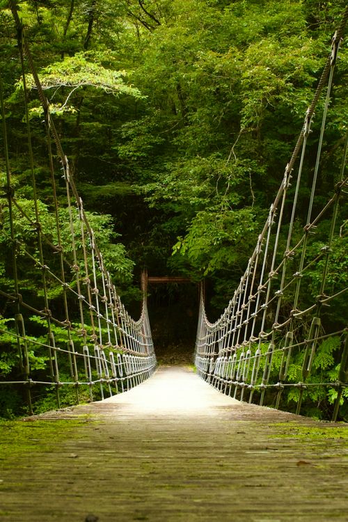 降水確率0％なのに雨！それでも石鎚山へ 自然王国白滝の里キャンプ場 ソロキャンプ フリーサイト yoshiさんのキャンプブログ CAMPiii（キャンピー） -キャンプ専用SNS キャンプのすべてがここに集まる-