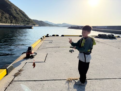 第28回目のファミリーキャンプ　久々のABU ABUキャンプフィールド ファミリーキャンプ フリーサイト 小川真司さんのキャンプブログ CAMPiii（キャンピー） -キャンプ専用SNS キャンプのすべてがここに集まる-