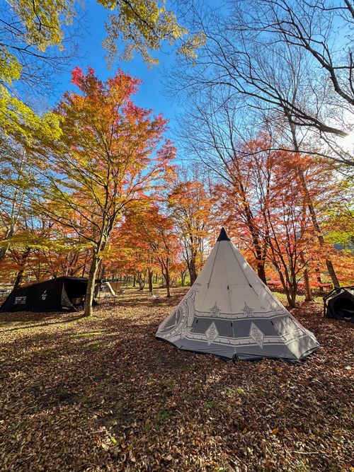 コレぞTHE紅葉キャンプ🍁酒より景色を楽しむキャンプ🏕️ ちばむらオートキャンパーズリゾート（旧高原千葉村） skitさんのキャンプブログ CAMPiii（キャンピー） -キャンプ専用SNS キャンプのすべてがここに集まる-