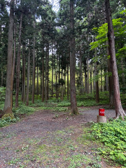 後輩夫婦おもてなしキャンプ。 デルフリキャンプ エンジョイドローン上山田キャンプ場 グループキャンプ 区画サイト あやぴーさんのキャンプブログ CAMPiii（キャンピー） -キャンプ専用SNS キャンプのすべてがここに集まる-