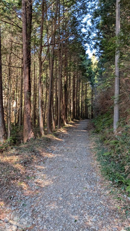 山散歩キャンプ ともえ川Park グループキャンプ 区画サイト オートサイト IZUIZUさんのキャンプブログ CAMPiii（キャンピー） -キャンプ専用SNS キャンプのすべてがここに集まる-